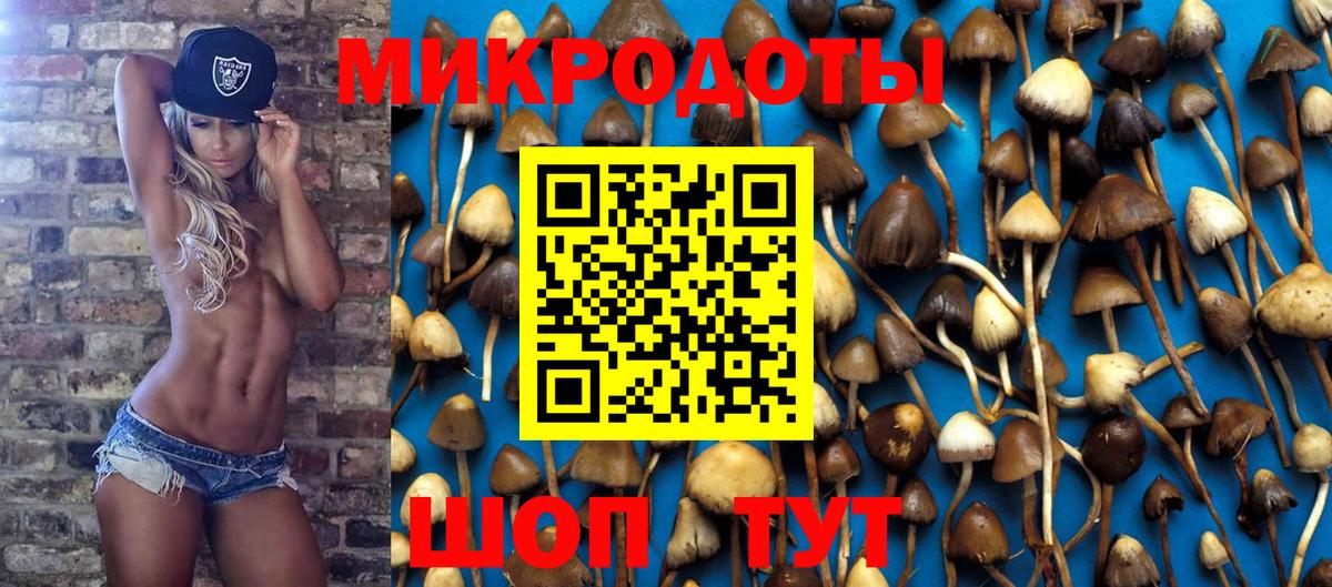 Псилоцибиновые грибы GOLDEN TEACHER  Вход с VPN  Псилоцибиновые грибы MAGIC MUSHROOMS  Унеча 
